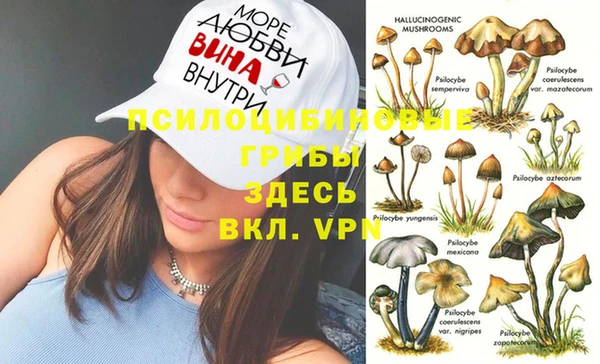 метадон Вяземский