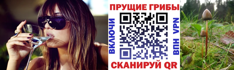 Галлюциногенные грибы прущие грибы  Купить закладки  Суровикино 